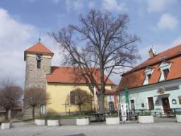 Resize of PICT0154.JPG